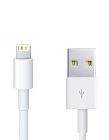 Apple Cable USB - Lightning 1 m