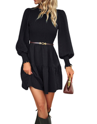 SHOPIQAT Women's Pleated Solid Color Long-Sleeved Dress - Premium Dresses from shopiqat - Just $10.600! Shop now at shopiqat