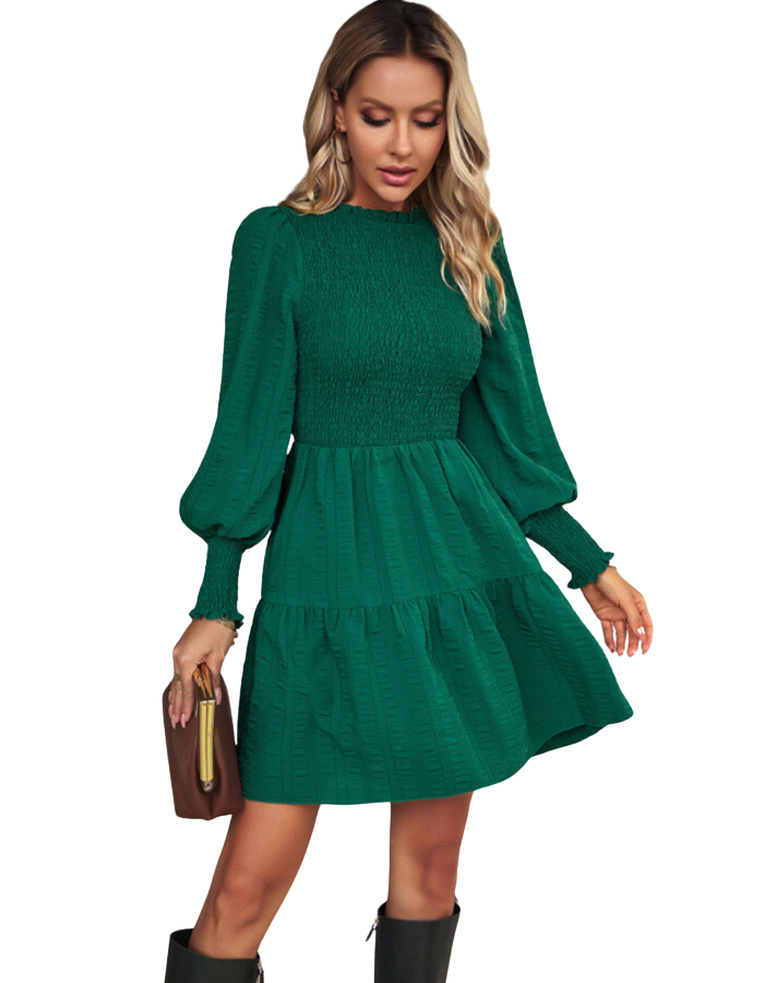 SHOPIQAT Women's Pleated Solid Color Long-Sleeved Dress