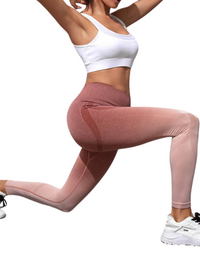 SHOPIQAT Women's Seamless High Waist Gradient Colour Seamless Sports Yoga Leggings - Premium  from shopiqat - Just $6.850! Shop now at shopiqat