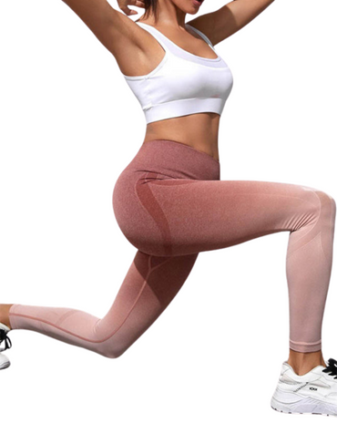 SHOPIQAT Women's Seamless High Waist Gradient Colour Seamless Sports Yoga Leggings - Premium  from shopiqat - Just $6.850! Shop now at shopiqat