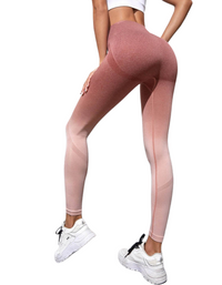 SHOPIQAT Women's Seamless High Waist Gradient Colour Seamless Sports Yoga Leggings - Premium  from shopiqat - Just $6.850! Shop now at shopiqat