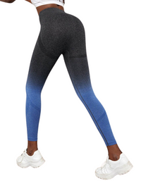 SHOPIQAT Women's Seamless High Waist Gradient Colour Seamless Sports Yoga Leggings - Premium  from shopiqat - Just $6.850! Shop now at shopiqat