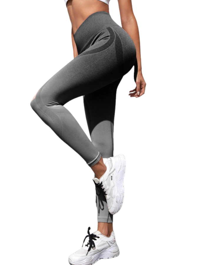 SHOPIQAT Women's Seamless High Waist Gradient Colour Seamless Sports Yoga Leggings - Premium  from shopiqat - Just $6.850! Shop now at shopiqat