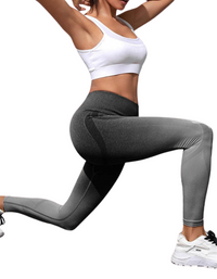 SHOPIQAT Women's Seamless High Waist Gradient Colour Seamless Sports Yoga Leggings - Premium  from shopiqat - Just $6.850! Shop now at shopiqat