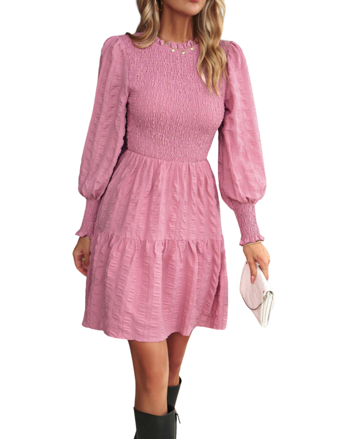 SHOPIQAT Women's Pleated Solid Color Long-Sleeved Dress - Premium Dresses from shopiqat - Just $10.600! Shop now at shopiqat