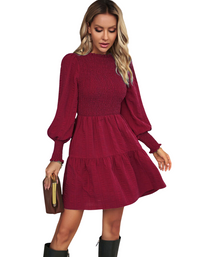 SHOPIQAT Women's Pleated Solid Color Long-Sleeved Dress - Premium Dresses from shopiqat - Just $10.600! Shop now at shopiqat