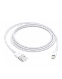 Apple Cable USB - Lightning 2m