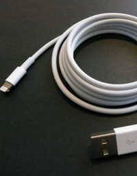 Apple Cable USB - Lightning 2m