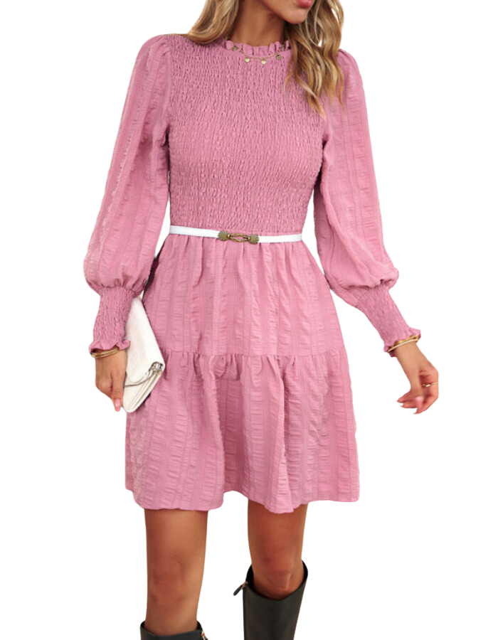 SHOPIQAT Women's Pleated Solid Color Long-Sleeved Dress - Premium Dresses from shopiqat - Just $10.600! Shop now at shopiqat