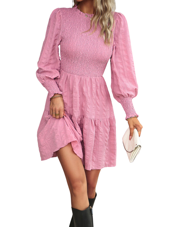 SHOPIQAT Women's Pleated Solid Color Long-Sleeved Dress - Premium Dresses from shopiqat - Just $10.600! Shop now at shopiqat
