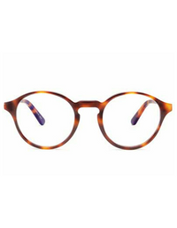 Barner Shoreditch Screen Glasses - Havana