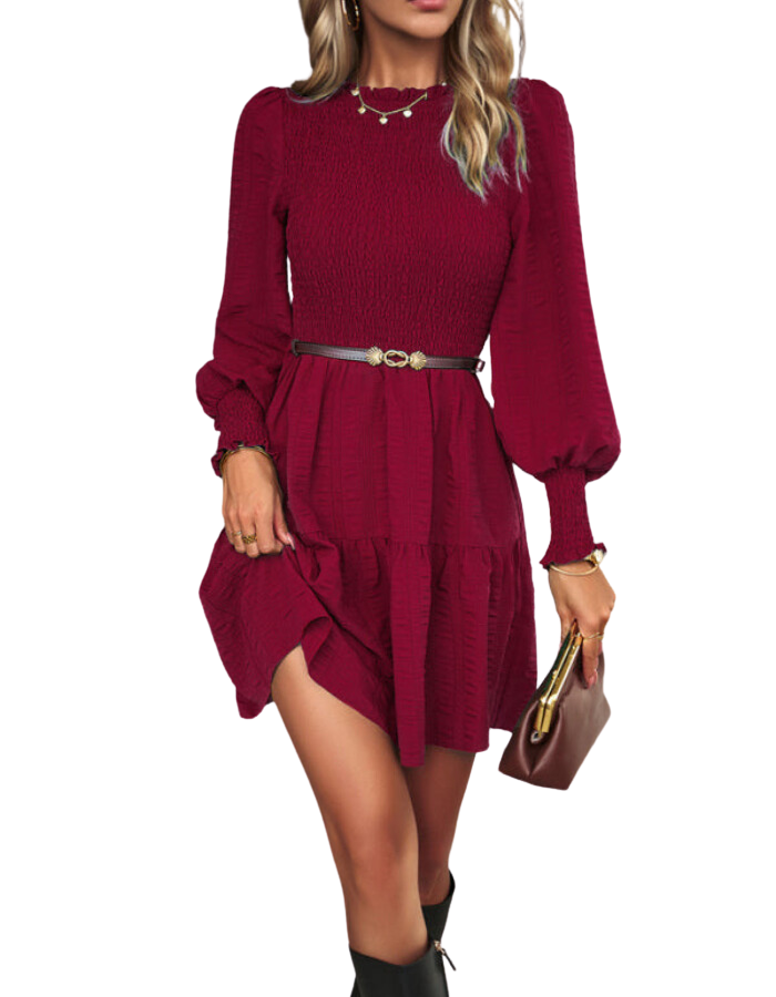 SHOPIQAT Women's Pleated Solid Color Long-Sleeved Dress