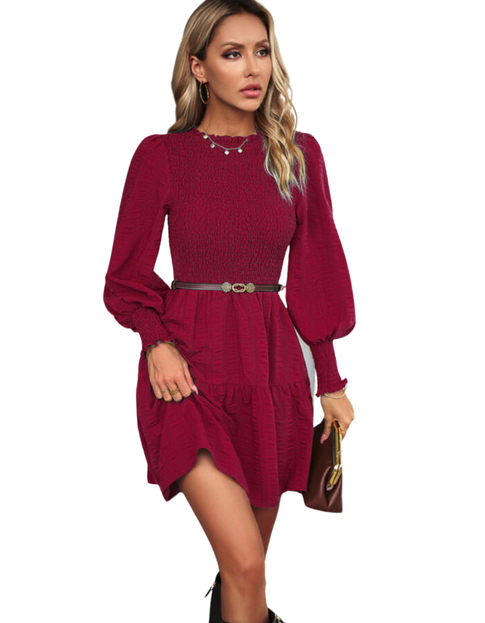 SHOPIQAT Women's Pleated Solid Color Long-Sleeved Dress