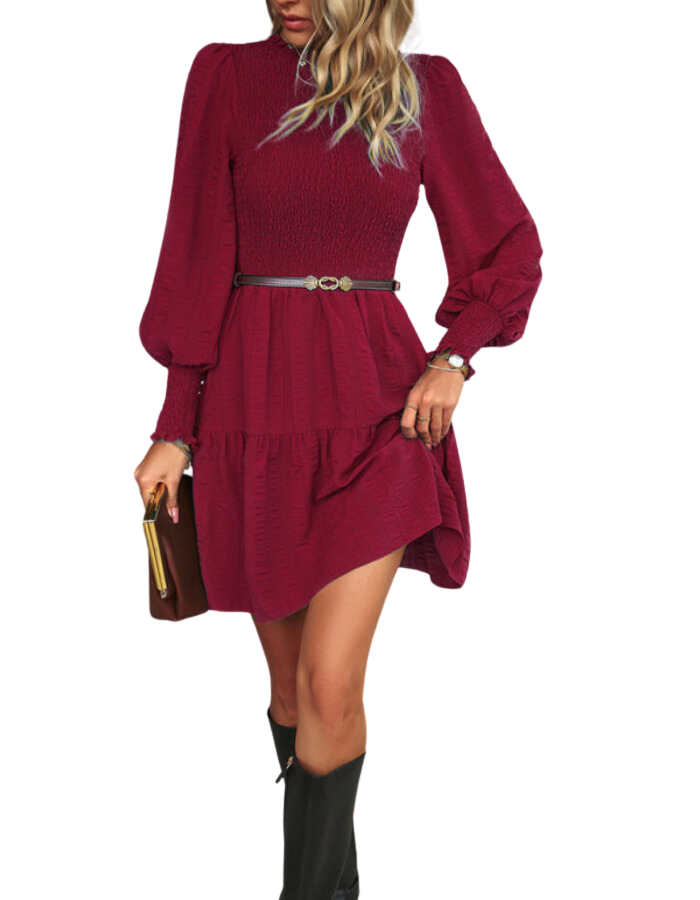 SHOPIQAT Women's Pleated Solid Color Long-Sleeved Dress - Premium Dresses from shopiqat - Just $10.600! Shop now at shopiqat