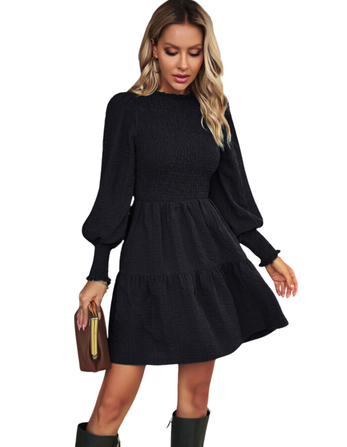 SHOPIQAT Women's Pleated Solid Color Long-Sleeved Dress
