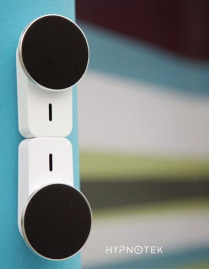 Hypnotek Magna Wireless Speaker