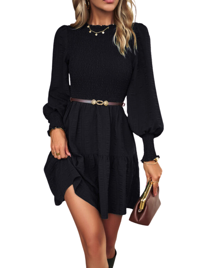SHOPIQAT Women's Pleated Solid Color Long-Sleeved Dress - Premium Dresses from shopiqat - Just $10.600! Shop now at shopiqat