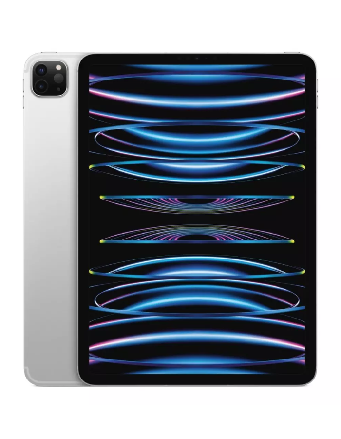Apple iPad Pro 2022 M2 256GB 11-inch Cellular - Silver
